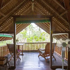  Couette-café Bali Firefly