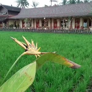 5* Maison d'hôtes Rice Padi Artha
